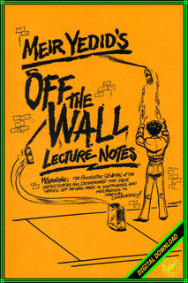 (image for) Meir Yedid - Off The Wall Lecture Notes