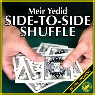 (image for) Meir Yedid - Side-To-Side Shuffle Video