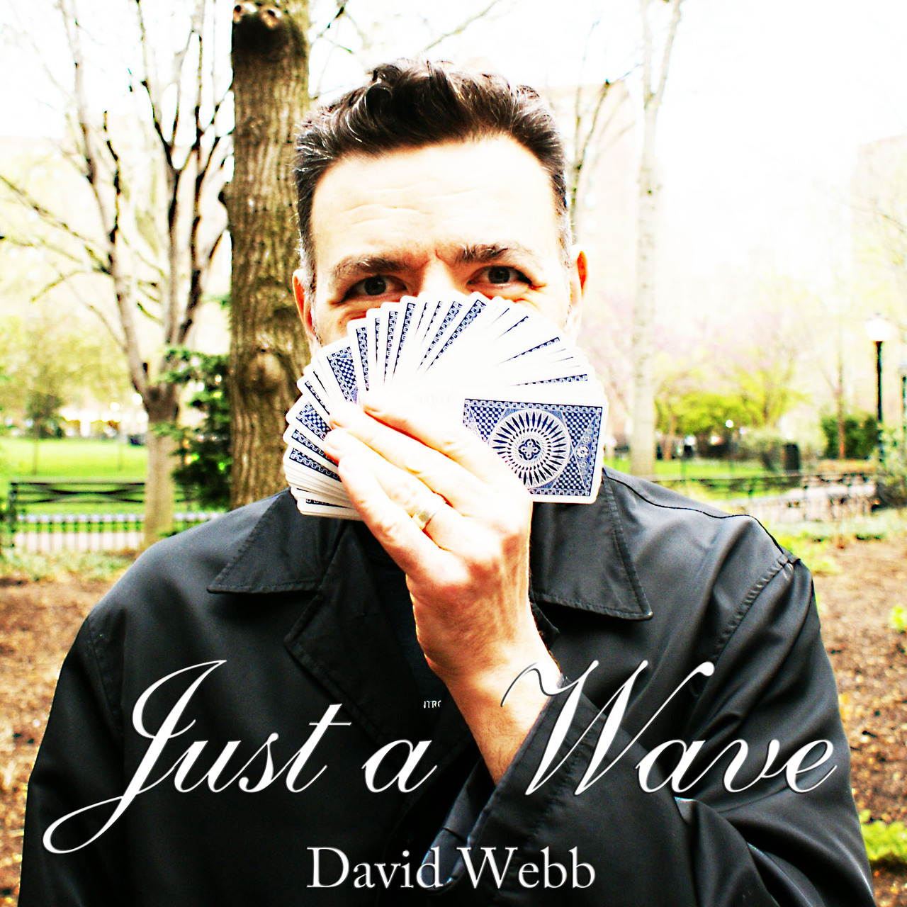 (image for) David Webb - JustaWave (Featuring the EasyPass)