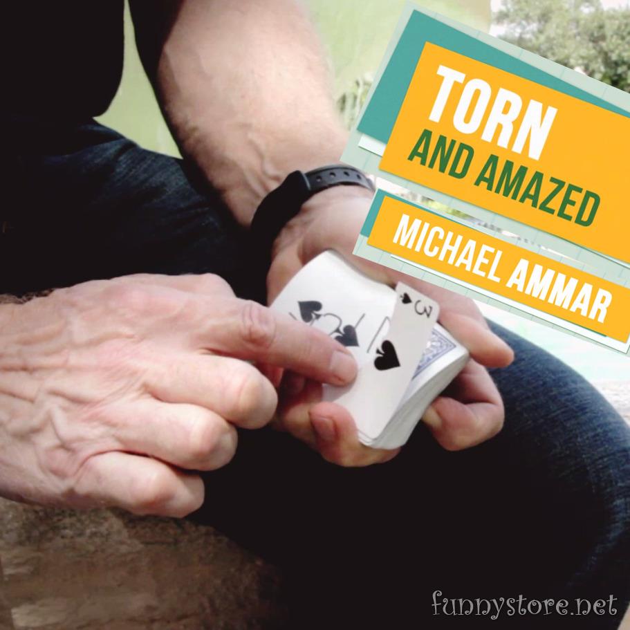 (image for) Michael Ammar - Torn and Amazed