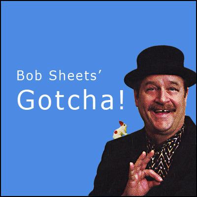 (image for) Bob Sheets - Gotcha
