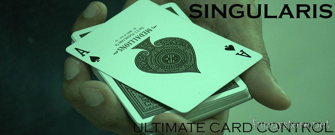 (image for) Vivek Singhi - Singularis