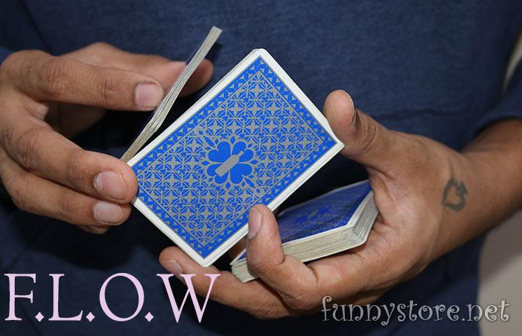 (image for) Vivek Singhi - F.L.O.W