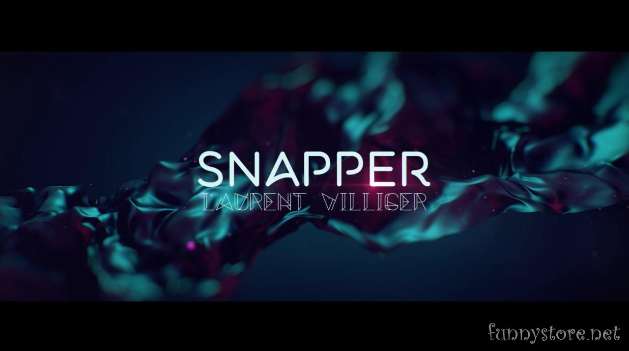 (image for) Laurent Villiger - SNAPPER