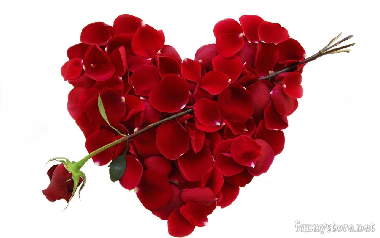 (image for) Dynamite - Valentine