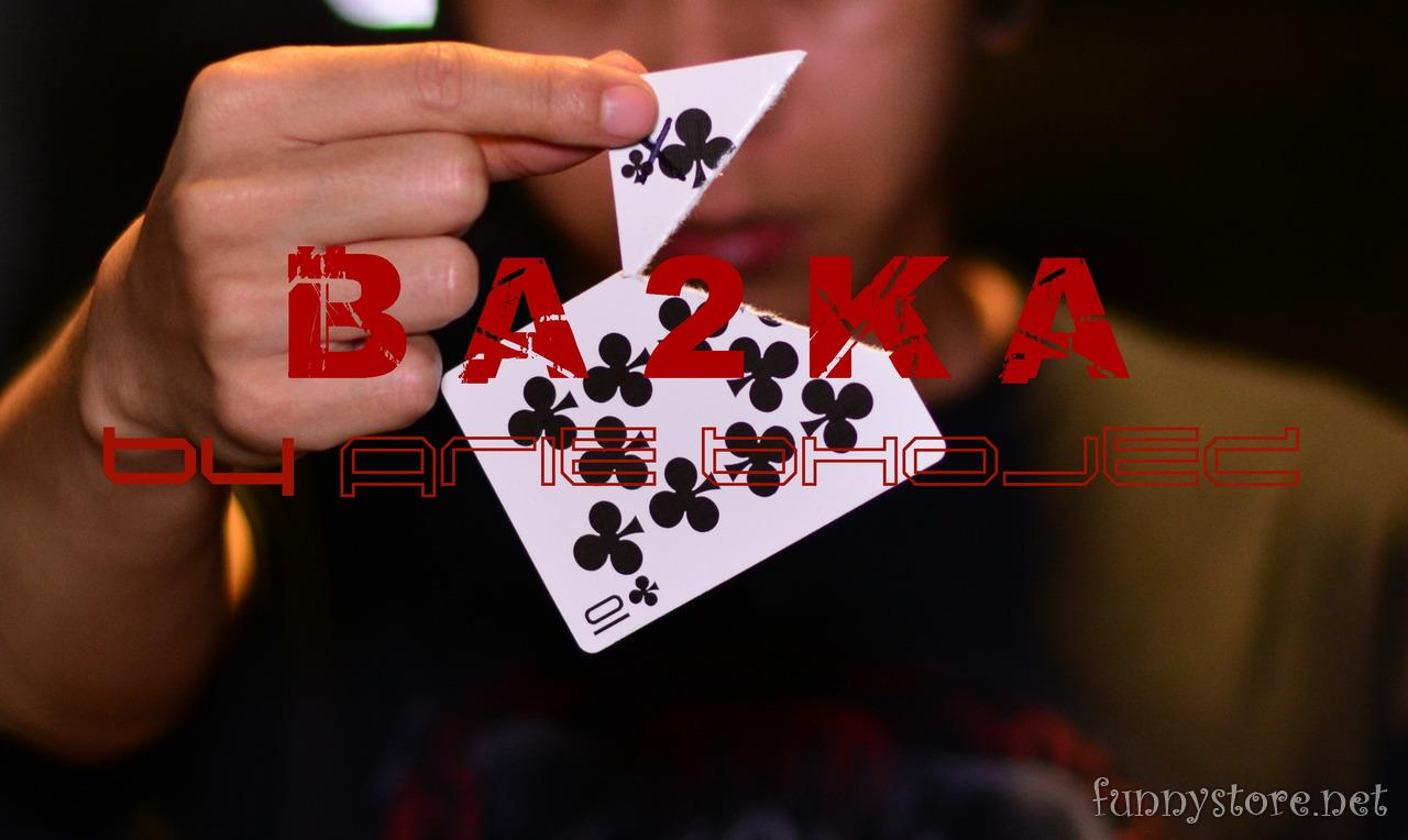 (image for) Arie Bhojez - BA2KA
