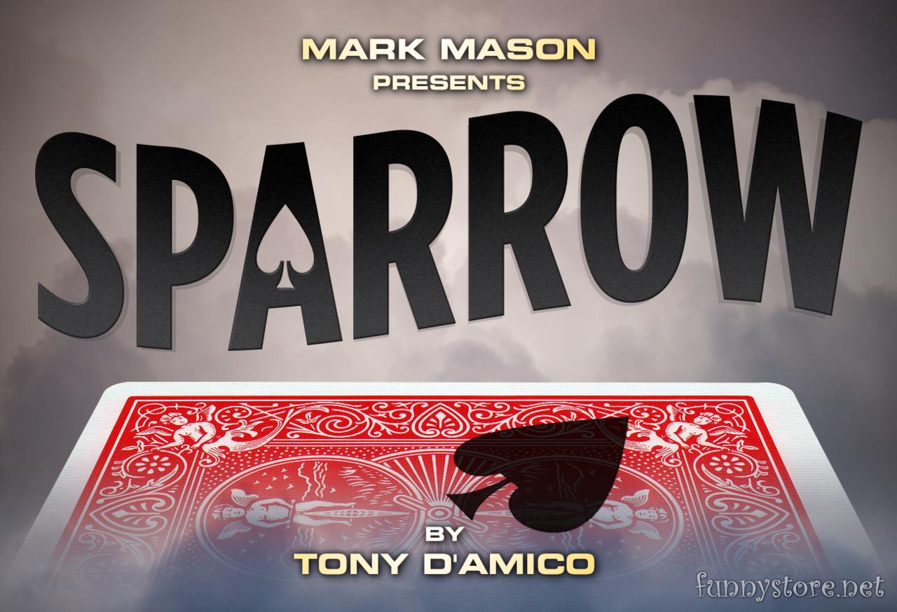 (image for) Tony D'Amico - Sparrow