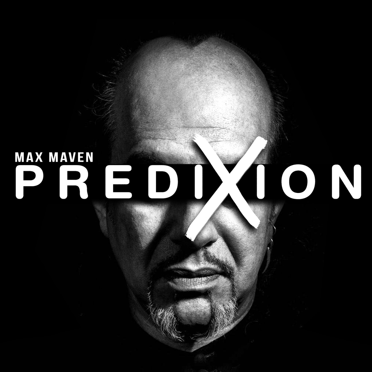 (image for) Max Maven - Predixion
