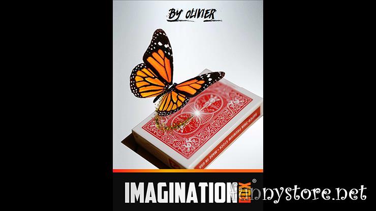(image for) Olivier Pont - Imagination Box