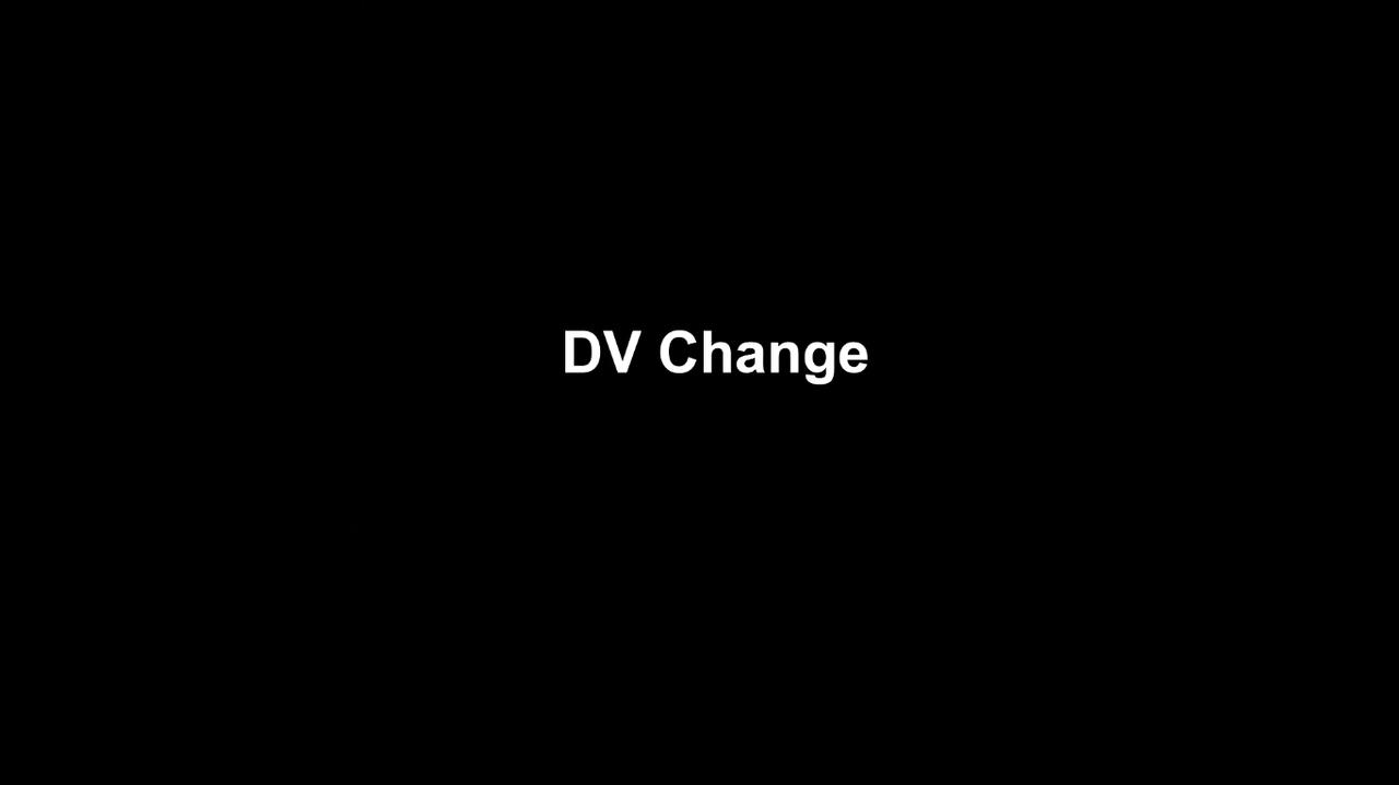 (image for) David Luu - DV Change