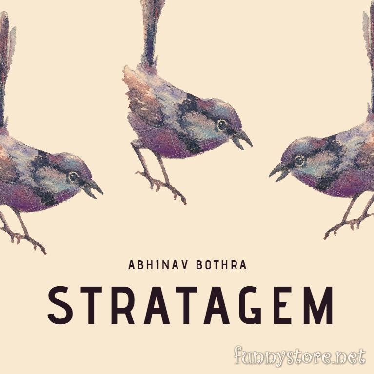 (image for) Abhinav Bothra - Stratagem (Video+PDF)