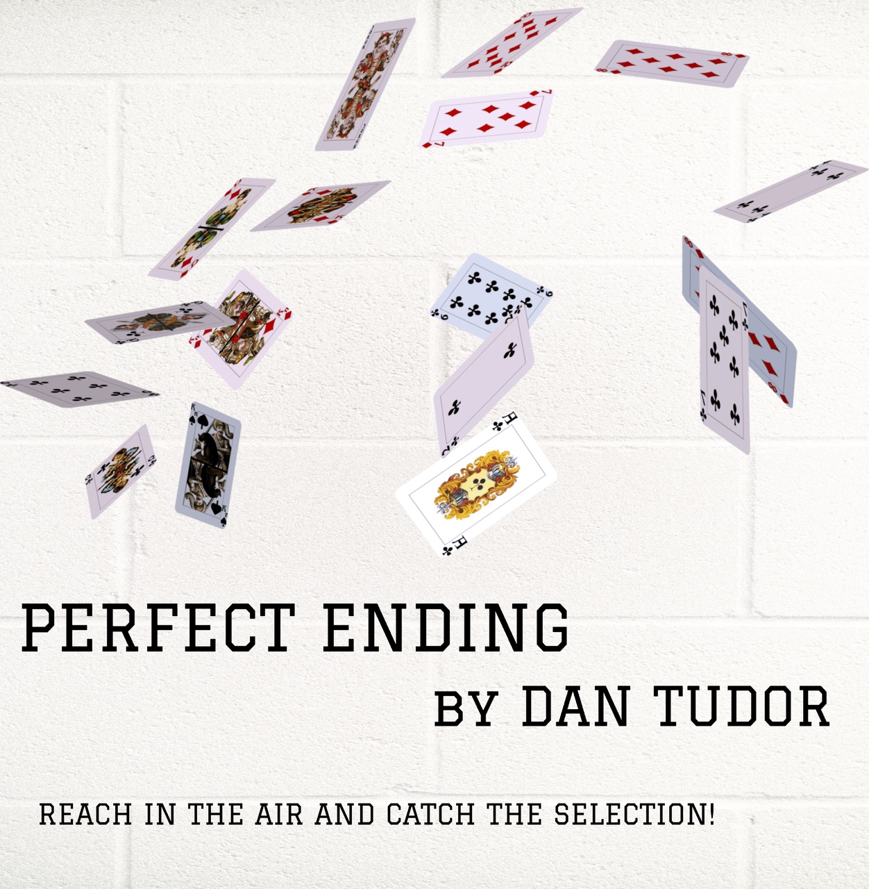 (image for) Dan Tudor - Perfect Ending