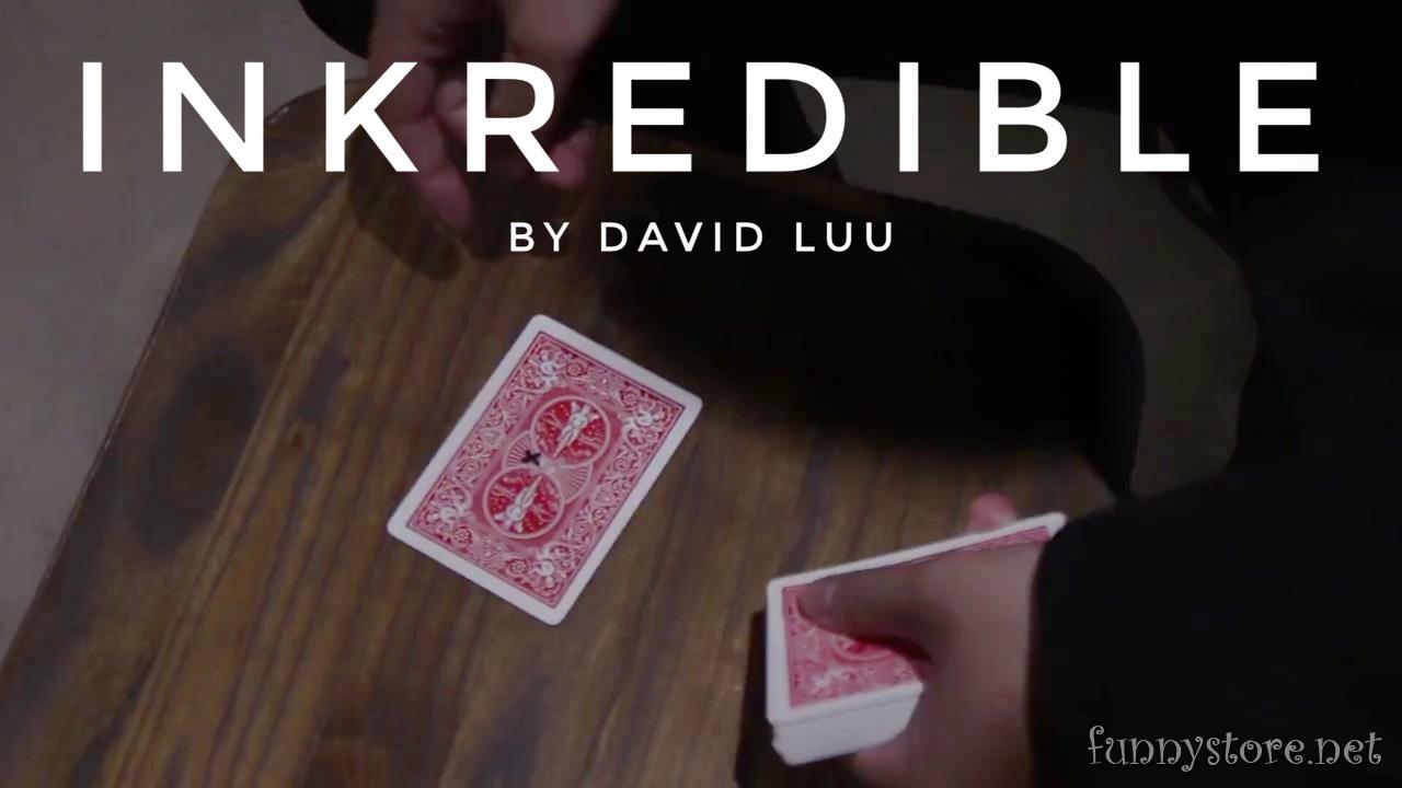 (image for) David Luu - INKredible