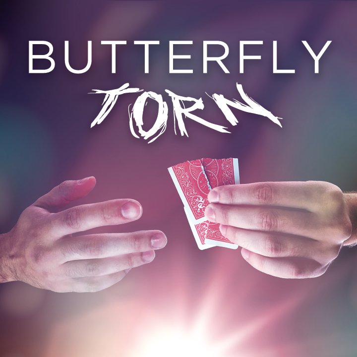 (image for) Yvan Garmy - Butterfly Torn