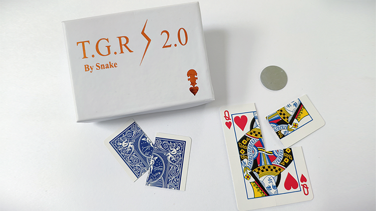 (image for) Snake - Together 2.0