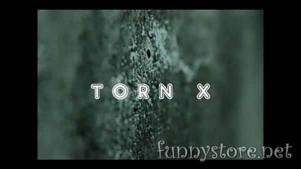 (image for) Arnel Renegado - TORN X