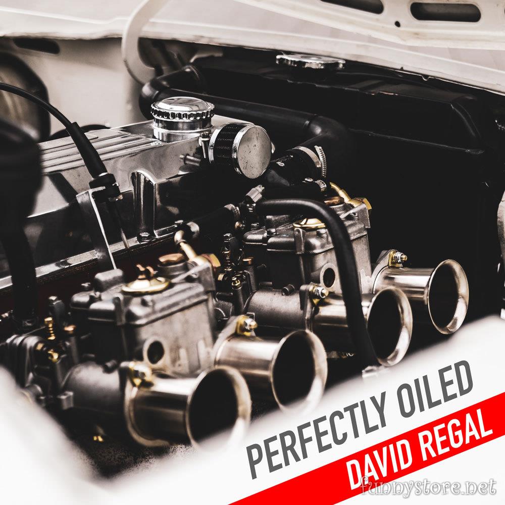 (image for) David Regal - Perfectly Oiled
