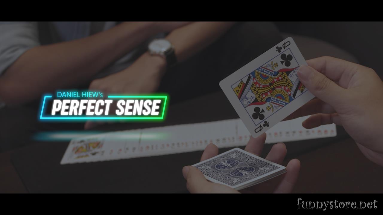 (image for) Daniel Hiew - Perfect Sense (Skymember Presents)