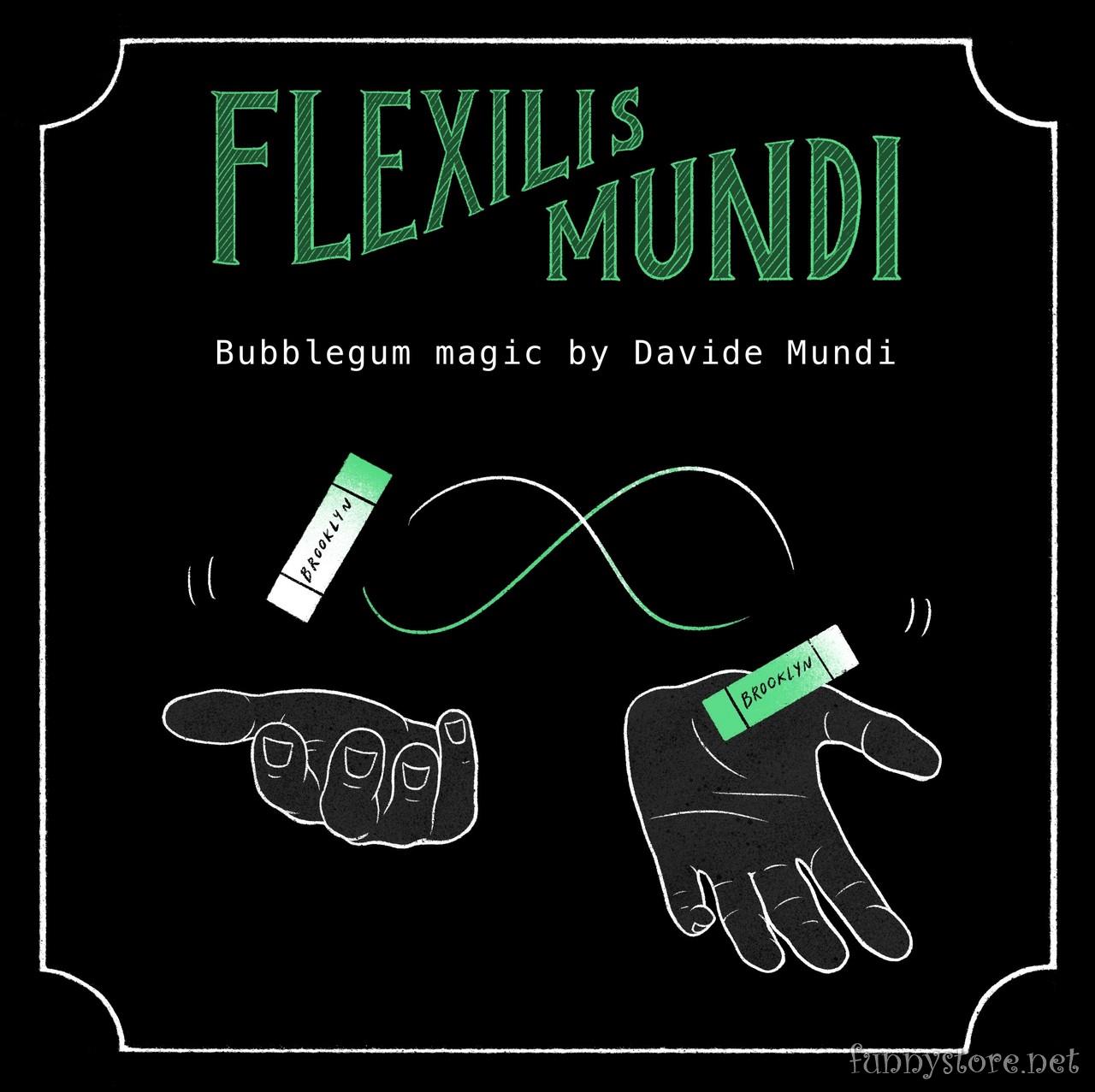 (image for) Davide Mundi - Flexilis Mundi