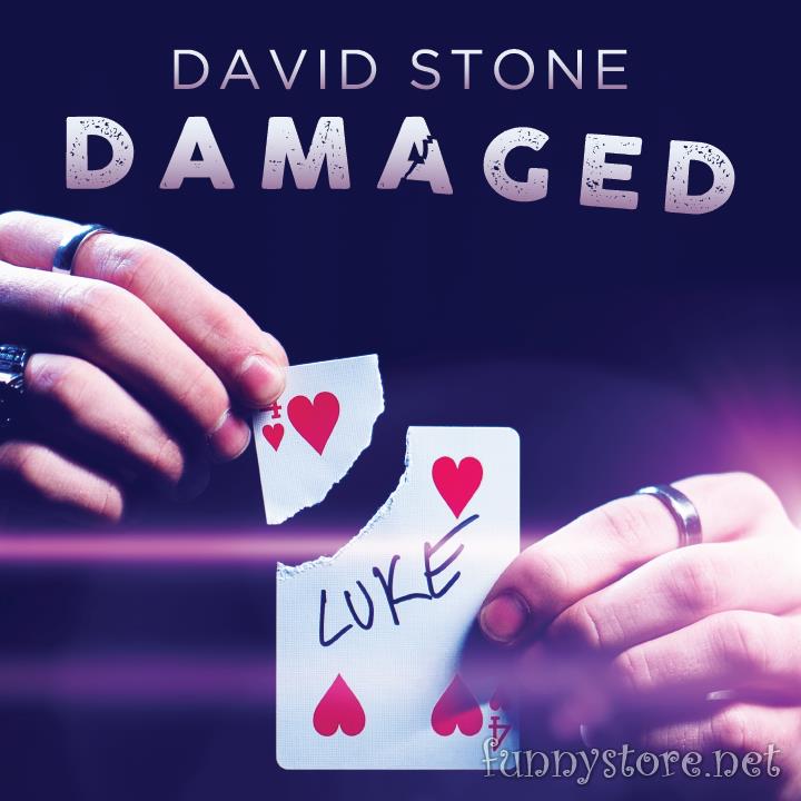 (image for) David Stone - Damaged