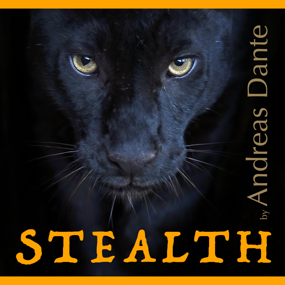 (image for) Andreas Dante - Stealth