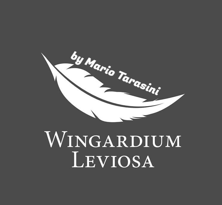 (image for) Mario Tarasini - Wingardium Leviosa