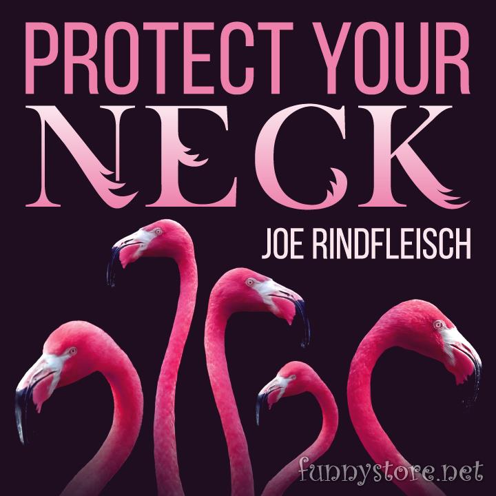 (image for) Joe Rindfleisch - Protect Your Neck