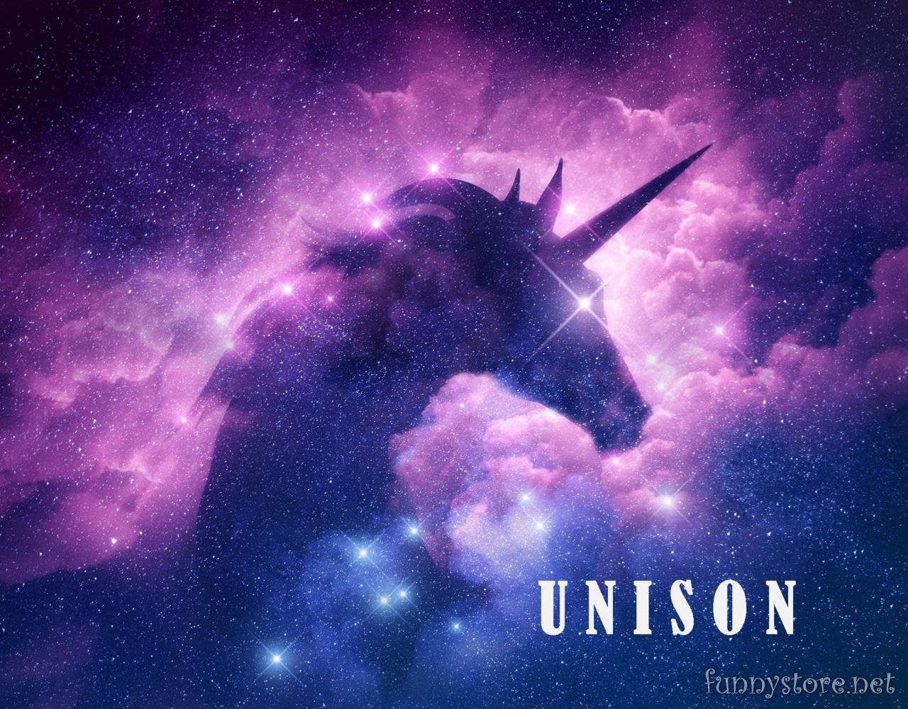 (image for) Dibya Guha - UNISON