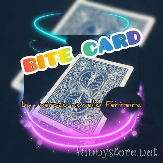 (image for) VERSÃO AURELIO FERREIRA - BIT CARD