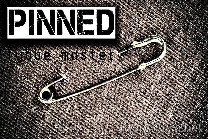 (image for) Tybbe master - Pinned