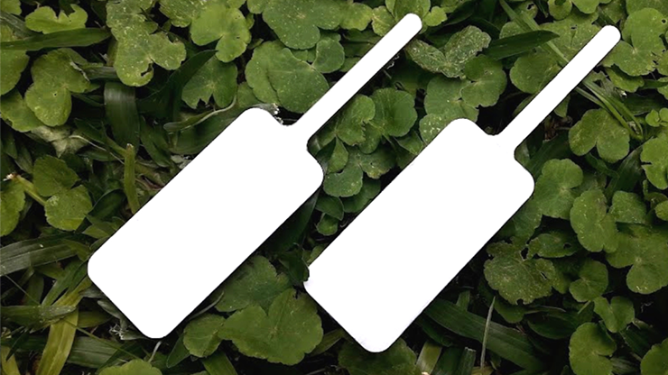 (image for) Dar Magia - MAGIC BOARD PADDLE