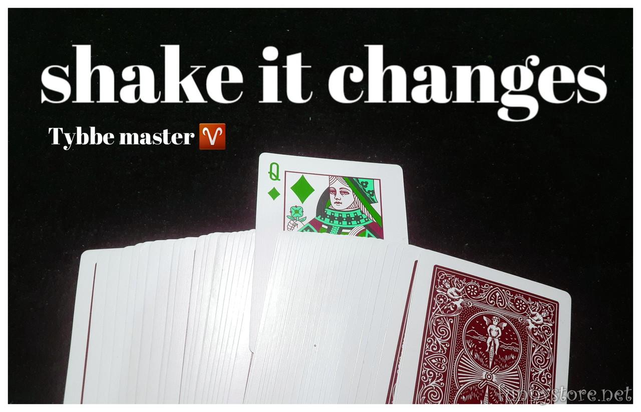 (image for) Tybbe master - Shake it change