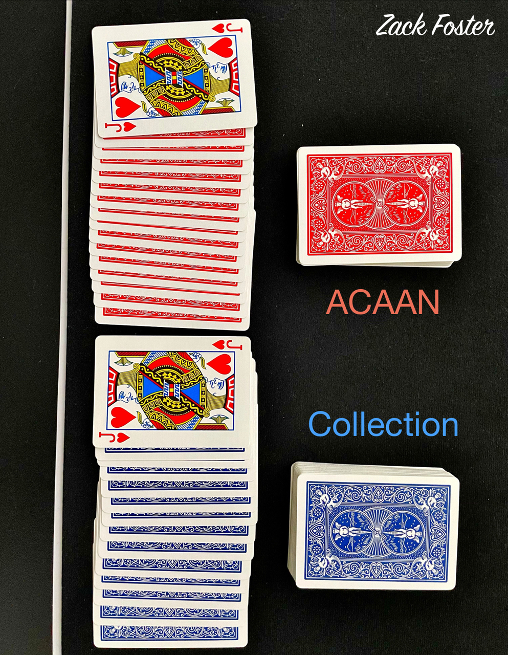 (image for) Zack Foster - ACAAN Collection