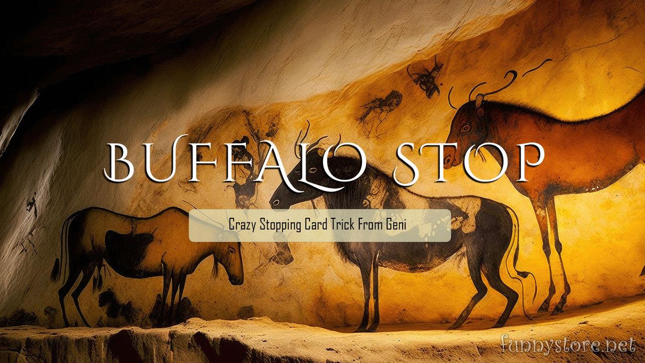 (image for) Geni - Buffalo Stop