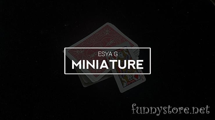(image for) Esya G - Miniature