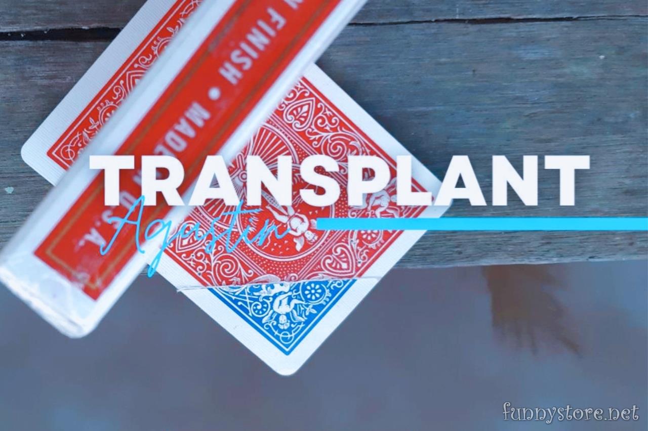 (image for) Agustin - Transplant