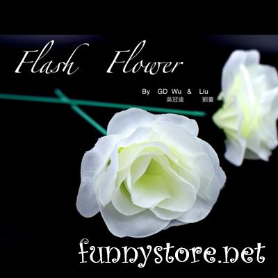 (image for) GD Wu & GT magicstore - White Flash Flower