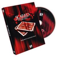 (image for) Jamie Daws and Dave Forrest - Scared
