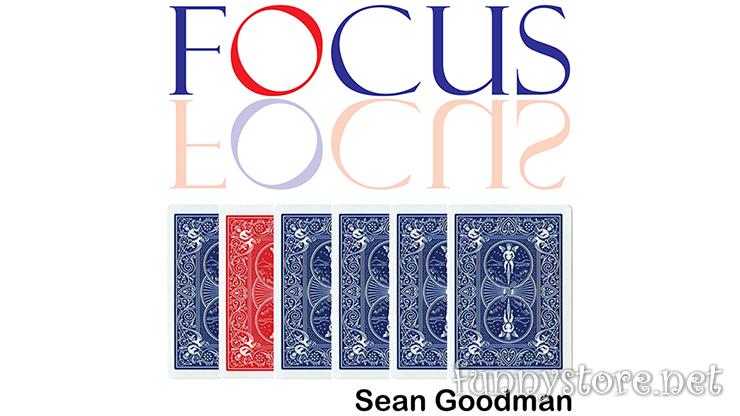 (image for) Sean Goodman - Focus