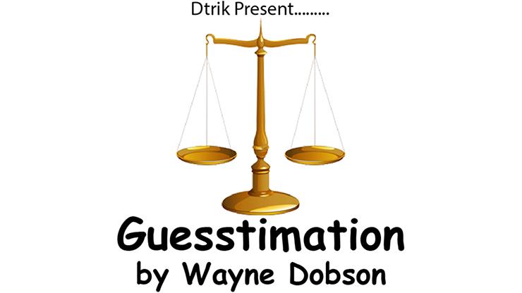 (image for) Wayne Dobson - Guesstimation