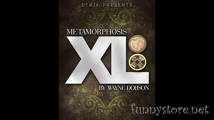 (image for) Wayne Dobson - Metamorphosis XL