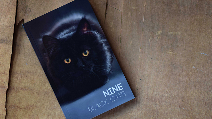 (image for) Neemdog and Lorenzo - Nine Black Cats