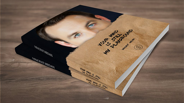 (image for) Vincent Hedan - Your Mind is Still My Playground