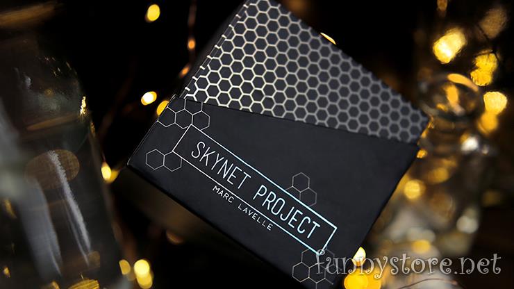 (image for) Marc Lavelle - Skynet Project