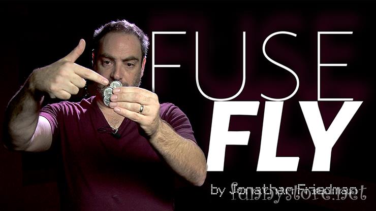(image for) Jonathan Friedman - Fuse Fly