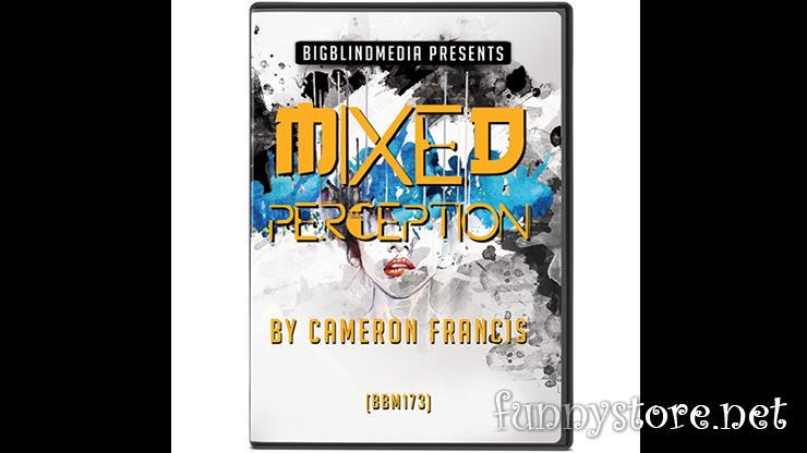 (image for) Cameron Francis - MIXED PERCEPTION