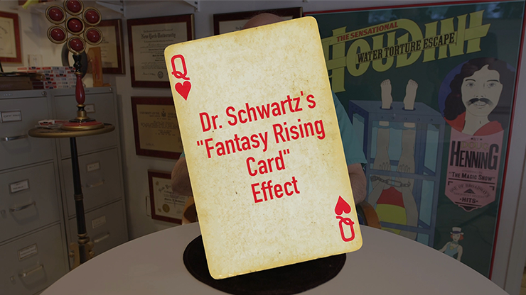 (image for) Martin Schwartx - Dr. Schwartz's Fantasy Rising Card