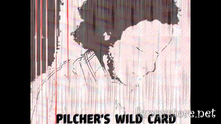 (image for) Matt Pilcher - Pilcher's Wild Card