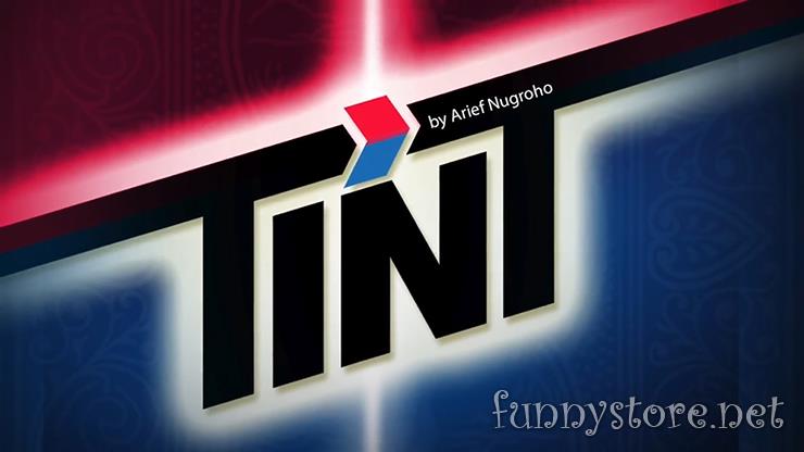(image for) Arief Nugroho - TINT