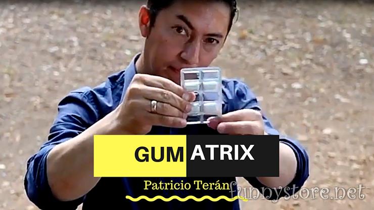 (image for) Patricio Terán - Gumatrix